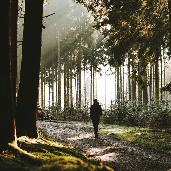 Mann spaziert durch Wald